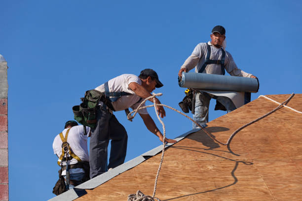 Best Commercial Roofing Services  in Budd Lake, NJ
